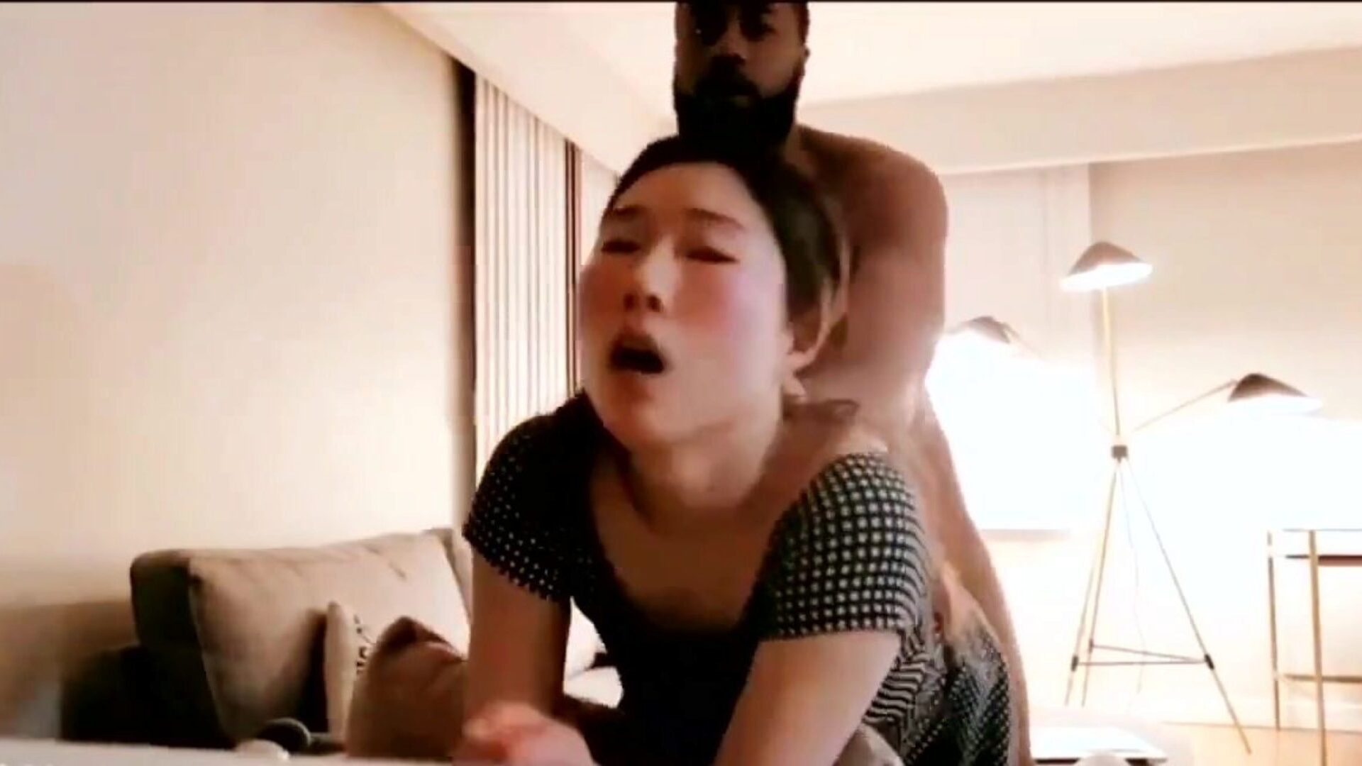 Asian Interracial Porn